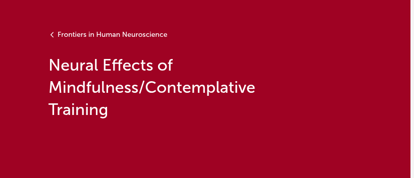Capa da revista Frontiers in Human Neuroscience