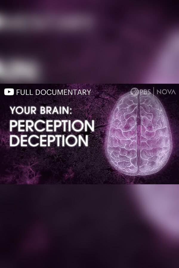 Pôster de Your Brain: Perception Deception
